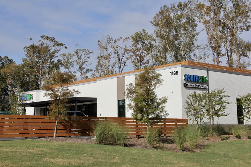 Southside Animal Hospital exterior at Hunt Club Village