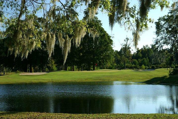 Shadowmoss golf course framed by oak trees and water